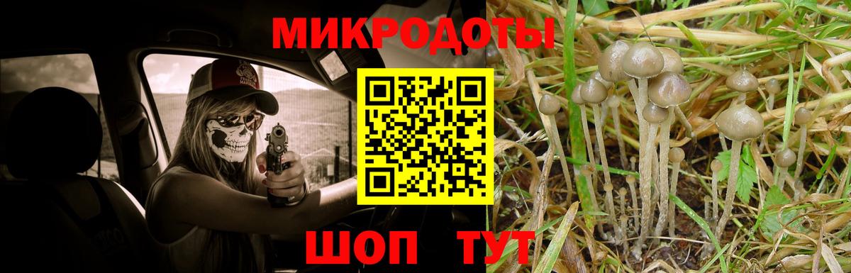 Псилоцибиновые грибы Magic Shrooms Рубцовск